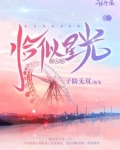 恰似星光撞入怀