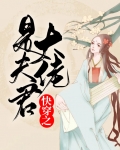 快穿之大佬是夫君