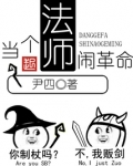 当个法师闹革命