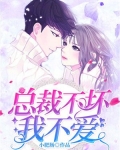 总裁不坏我不爱