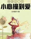 网游之一不小心撞到爱