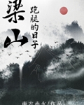 我在梁山跑腿的日子