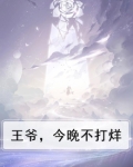 王爷,今晚不打烊