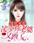 蚀骨宠爱:凌少,你老婆又跑了