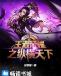王者荣耀之纵横天下