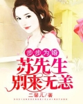 步步为婚:苏先生别来无恙
