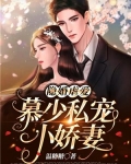 隐婚虐爱:慕少私宠小娇妻