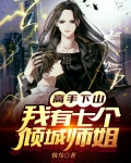 高手下山:我有七个倾城师姐