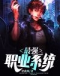 最强职业系统