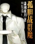 孤胆战群魔