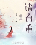 公主,请自重!