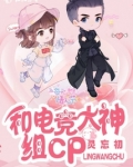 和电竞大神组CP