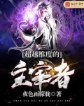 超越维度的主宰者