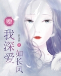 赠我深爱如长风