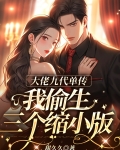 大佬九代单传,我偷生三个缩小版