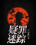 疑罪迷踪