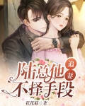 陆总他追妻不择手段
